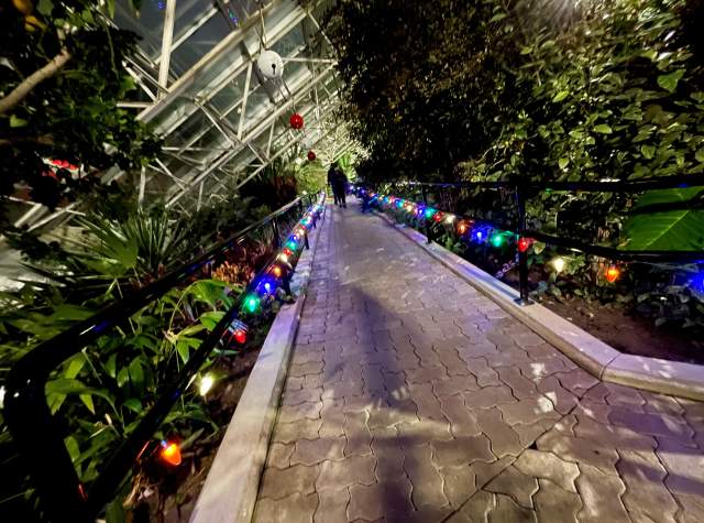 $1 Night Light Display