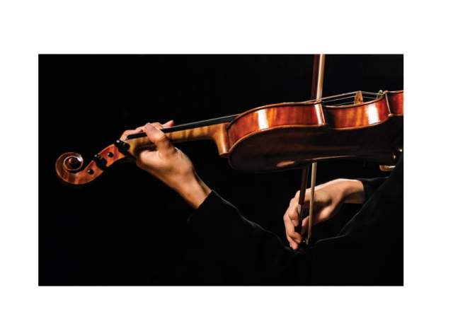Person playing a violin for Musical Mornings – Freimann Quartet at Crescendo Coffee & More
