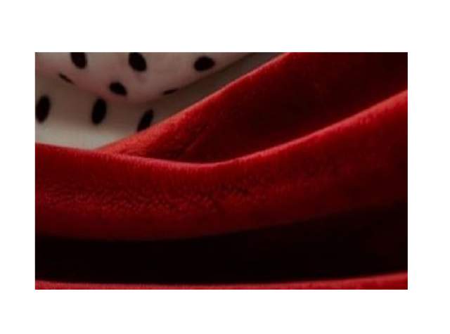 Candlelight concerts bring the magic of a live, multi-sensory musical experience to awe-inspiring locations like never seen before in Fort Wayne