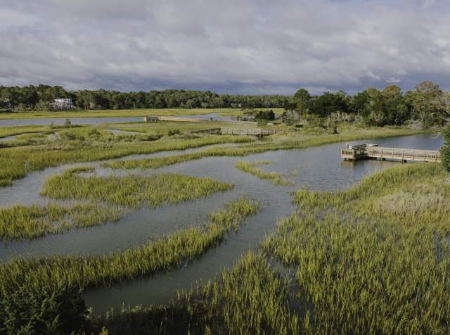 Aerial view of a peaceful salt marsh with winding tidal creeks and tall green grasses in North Myrtle Beach. Wooden boardwalks and observation decks extend over the water, allowing visitors to explore and enjoy the natural scenery. Dense trees and a few distant homes line the horizon.