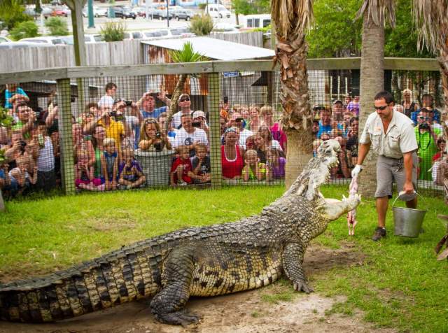 Things to Do Beyond the Beach