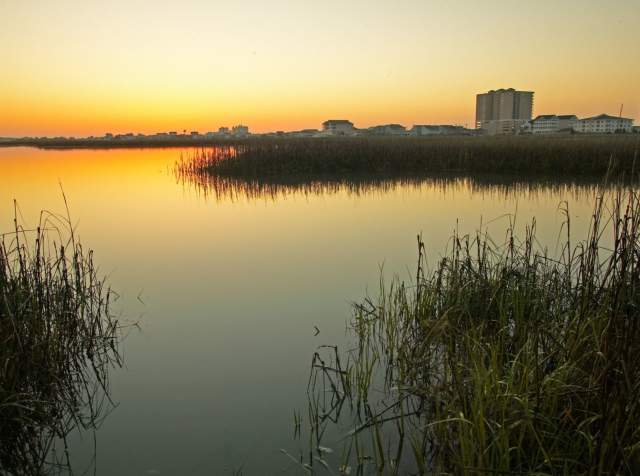 Go Beyond the Beach and Uncover the Hidden Gems in North Myrtle Beach, South Carolina