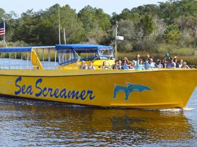 A Dolphin Watching Guide to North Myrtle Beach