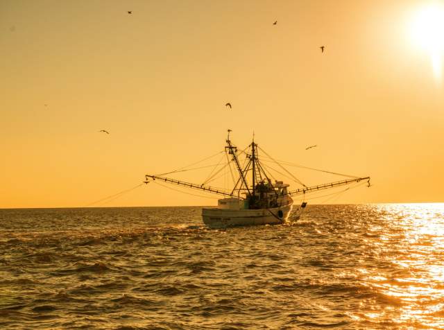 Best Seafood Restaurants in North Myrtle Beach (and What to Order)