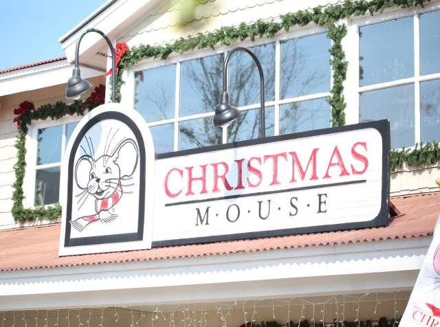 Holiday Shopping & Gift Guide