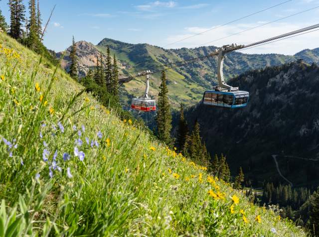Aerial Tram at Snowbird