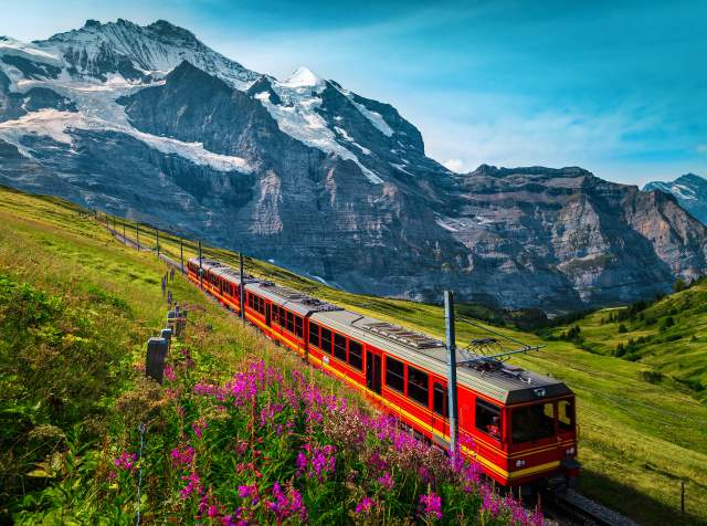 Red train traveling through a green mountainside field with snow covered swiss alps in the background