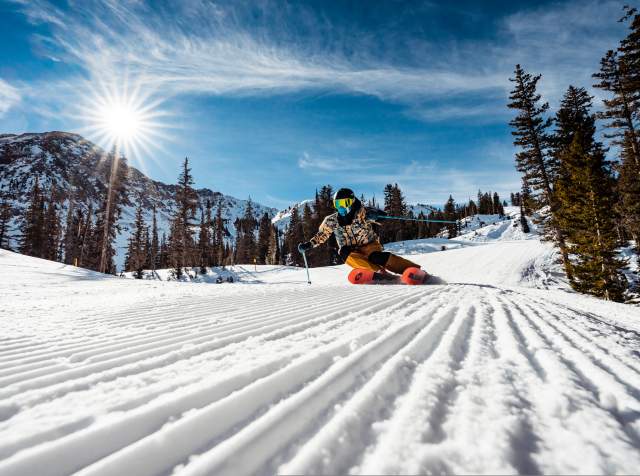 Snowbird 2024-2025