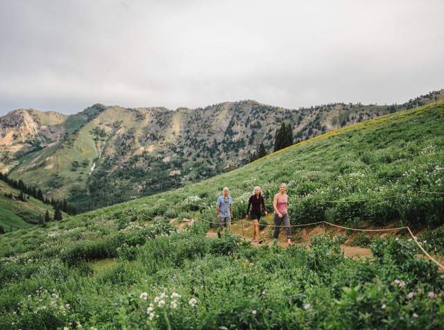 3 people hiking on a path through the wildflowers with mountains in the background