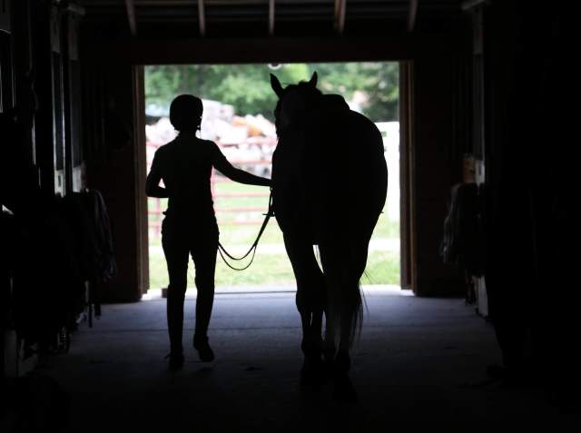 In shadow, a person leads a horse in a barn.