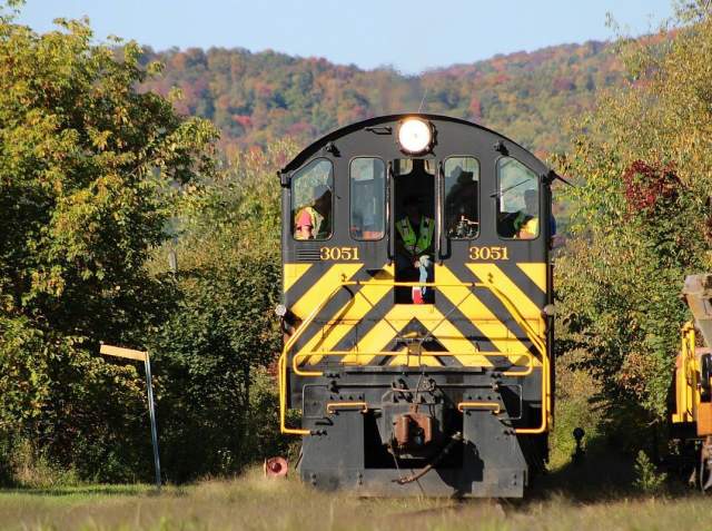 A black and yellow train car facade with trees surrounding the train tracks.