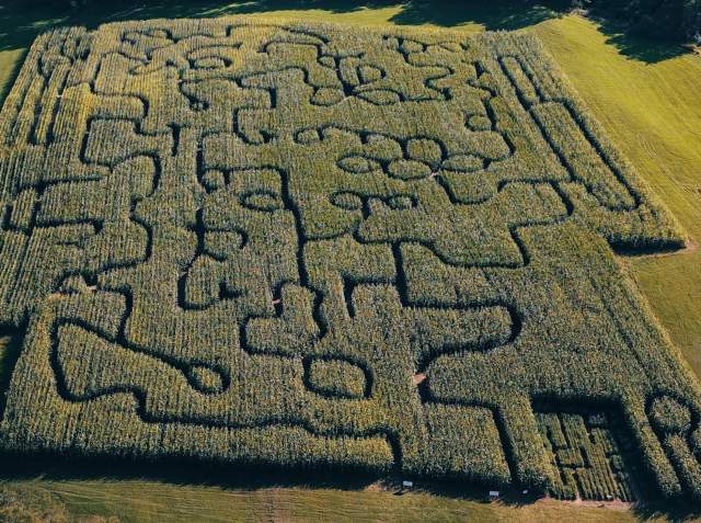 Fall Feels: The Ultimate Autumn Adventure in Otsego County