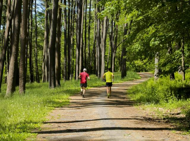 Discover the Trails of Otsego County: A Day Trip Hiking Guide