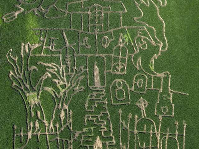 Scone (Funckarma, Kettel) / Maze Fall Festivities Adventure at Keller's Farmstand