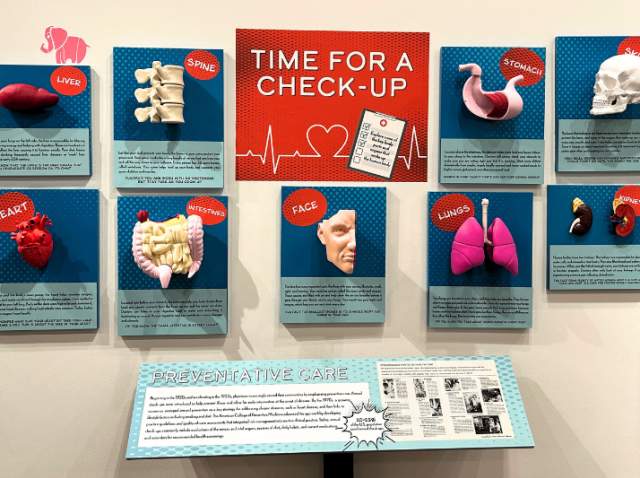 Anatomy of Healthcare Exhibition