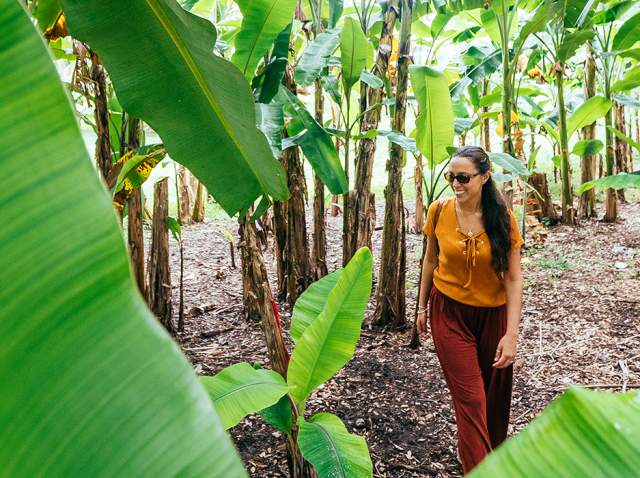 A woman explores the botanical garden & wildlife sanctuary at Flamingo Gardens