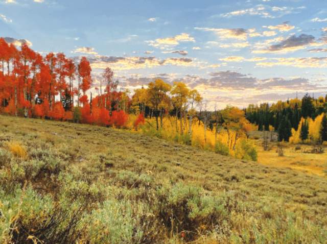 Fall in Love with Cedar City, Parowan & Brian Head