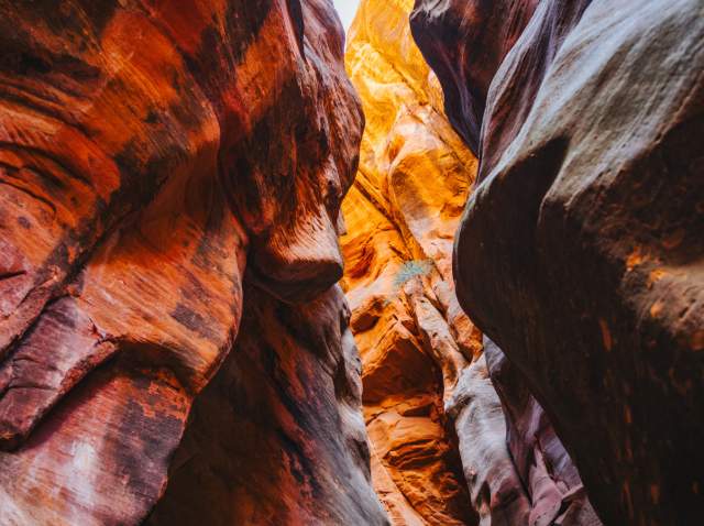 6 Red Rock Landscapes Worth Photographing Near Cedar City, UT