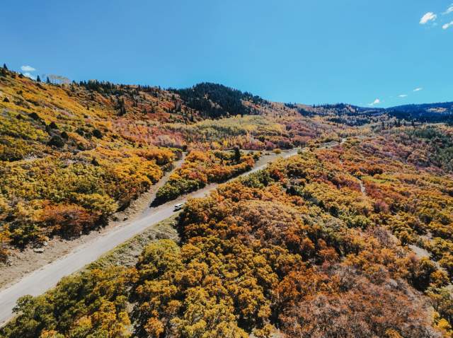 3 Scenic Drives Near Cedar City to Take This Fall