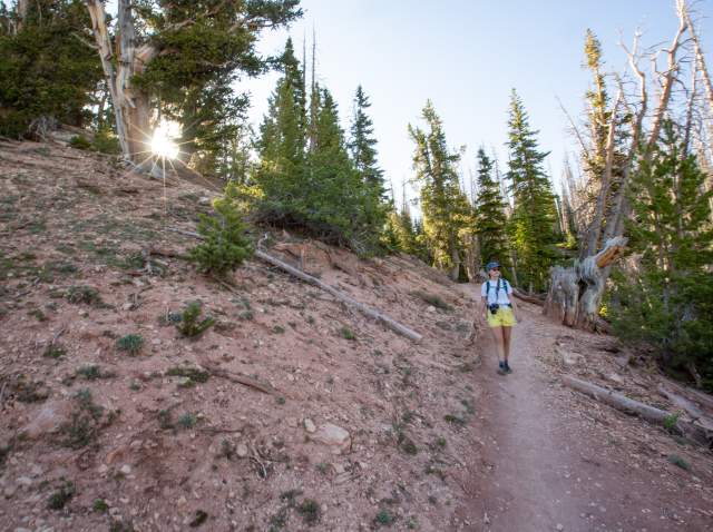 5 Places Close to Town That Are Perfect for a Quick, Quiet Getaway