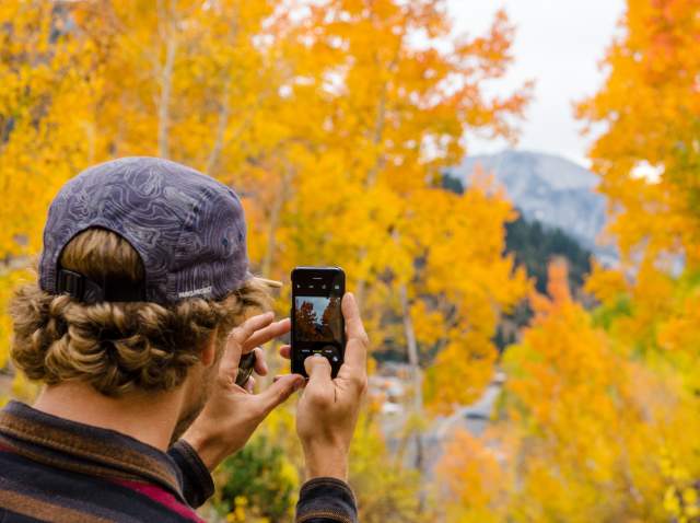 Man holding up a phone to take a photo of brighly colored fall leaves that are in the background