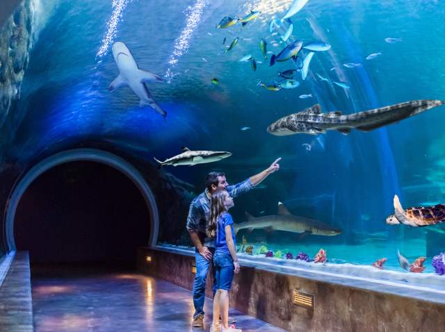 Image of a father and daughter at Loveland Living Planet Aquarium