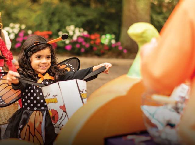 Little girl dressed as butterfly holding out trick or treat bag