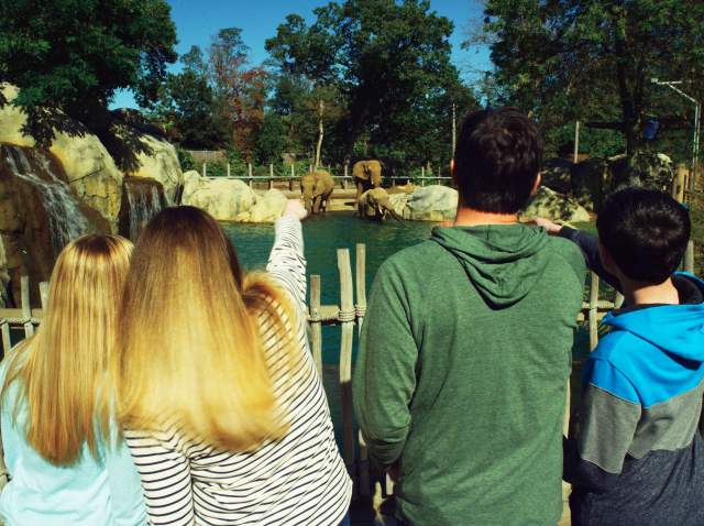 Roger Williams Park Zoo & Carousel Village
