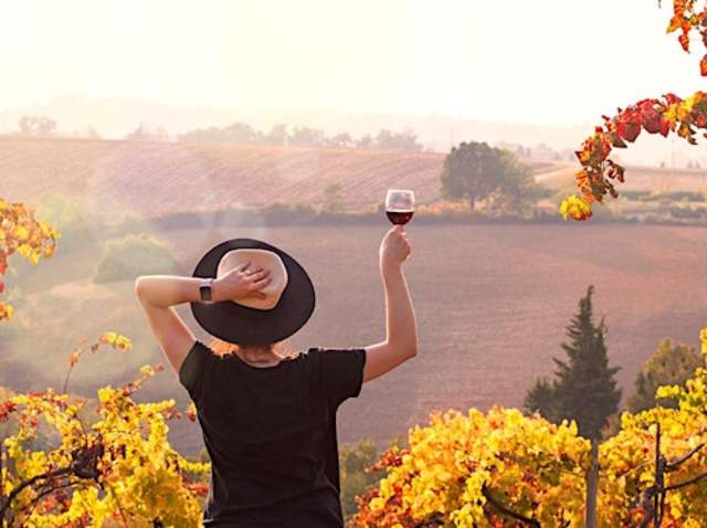 Journey Through the Vines: Women in Wine Showcase