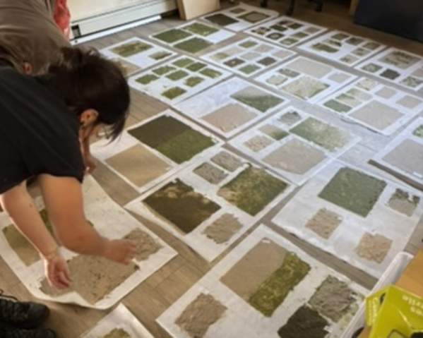 Papermaking workshop with Kate Aitchison