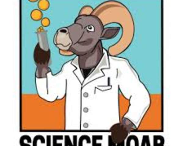 Science On Tap: Buzzed and in Charge - How Pollinators Run the World