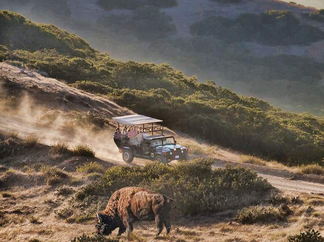 Hummer tour