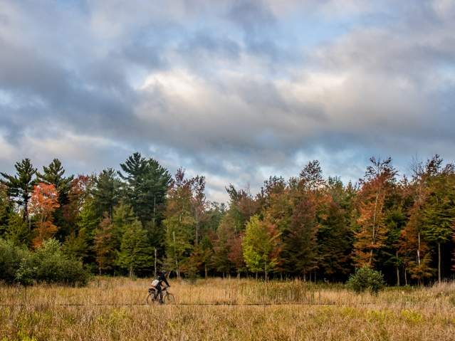 person biking at Schmeeckle in the fall