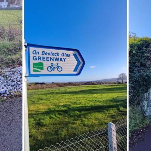 Phto broken in 3, lady taking photo of pant on camera phone, signpost of the Greenway with blue sky and green field, greenway tunnels with lady walking through in the distance.