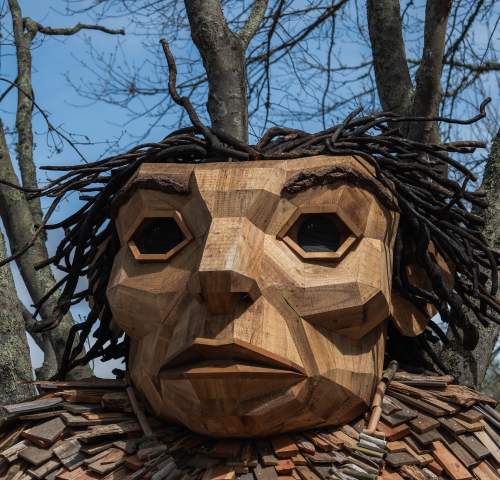 Erik Rock Troll