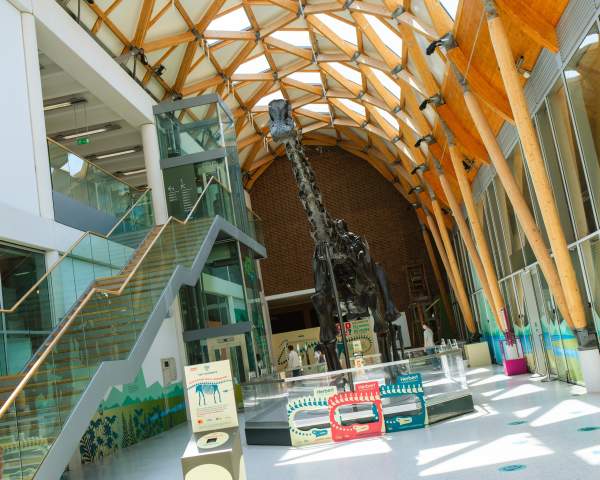 Dinosaur Summer 2025