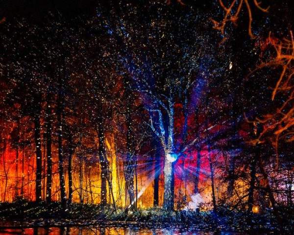 Discover the Magic of Christmas in Coventry: Your Ultimate 2025 Guide