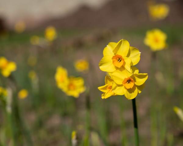 Easter Adventures Await in Coventry: Your Guide to Unmissable Events