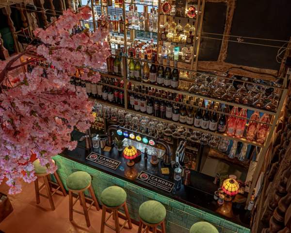 the bar at Turkuaz Social, Chichester