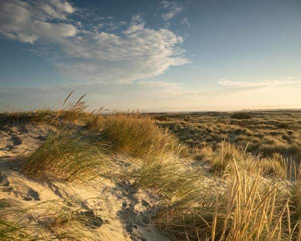 Dunes at East Head, West Wittering
