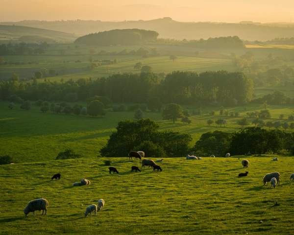 Shillings Valley, South Downs National Park