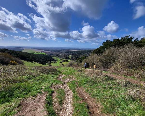 a view of countryside from Kingley Vale