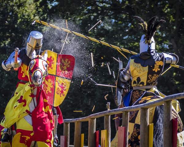 Knights and horses at The Loxwood Joust