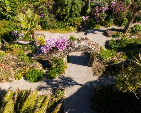 How a humble hedge created a heavenly garden