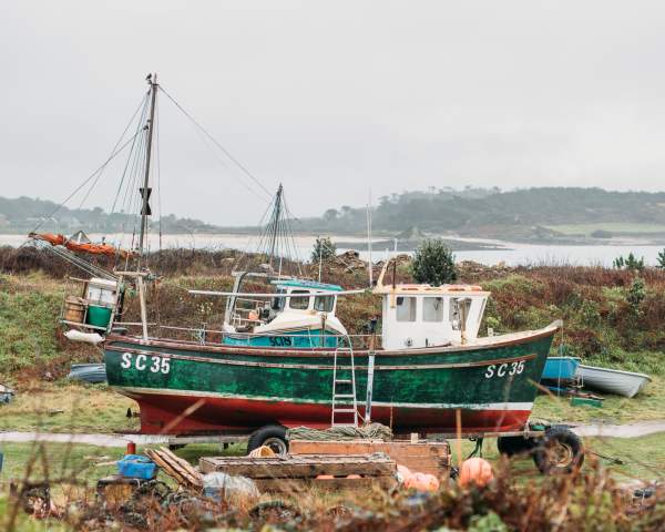 From Sea to Shore: The Island Fish Story