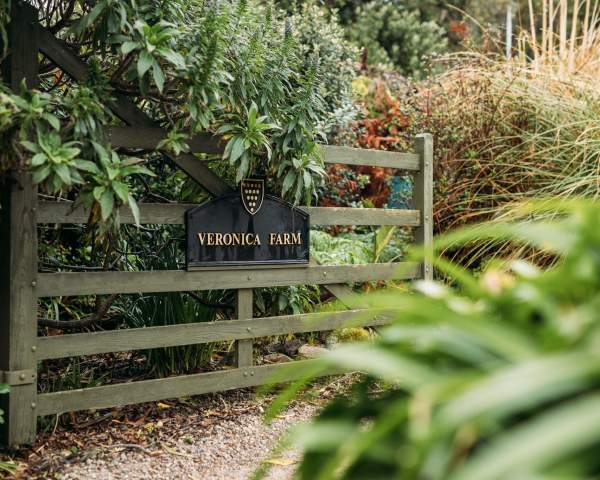 From Flowers to Fudge: A Sweet Bryher Story
