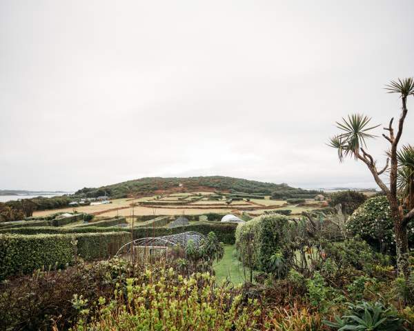 From Pandemic to Peppers: A Farm’s Journey to Resilience on Bryher