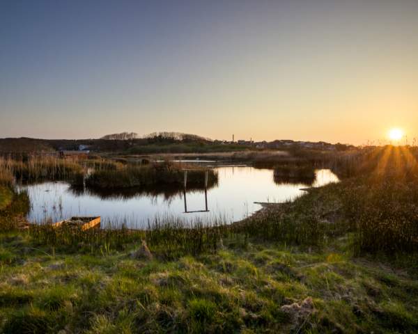 A Birdlife Haven