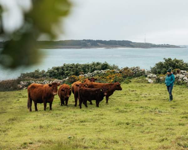 One Islander's Path to a Sustainable Living