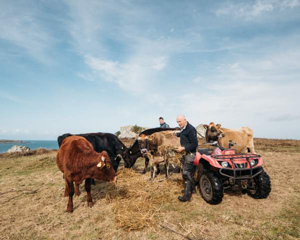 From Cows to Cones: Crafting Ice Cream on St. Agnes
